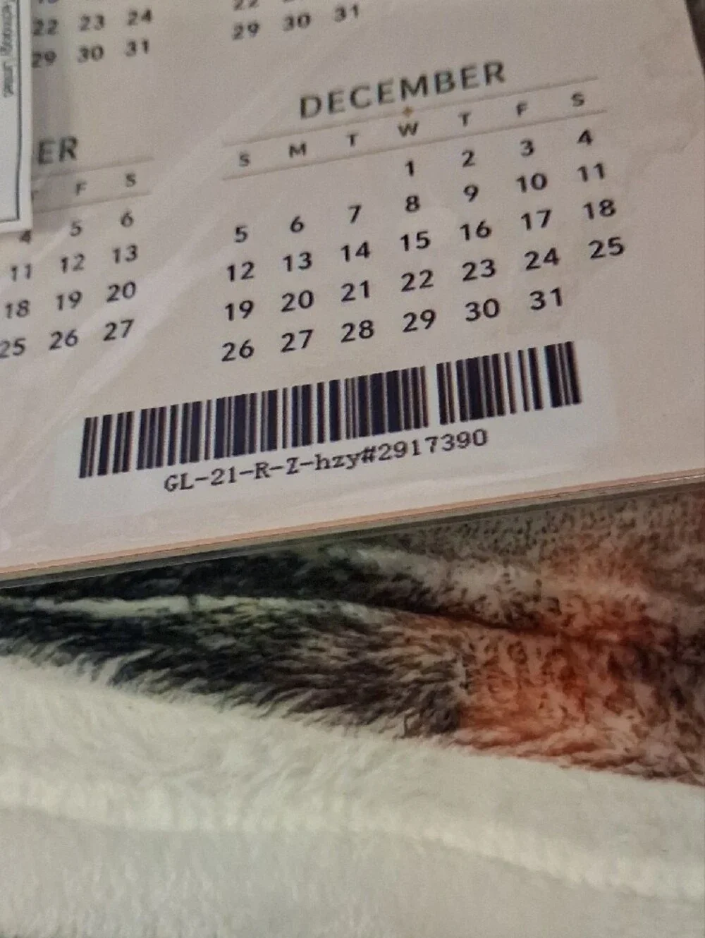 Bigfoot 2027 Wall Calendar - Navy and Tan Adventure Design
